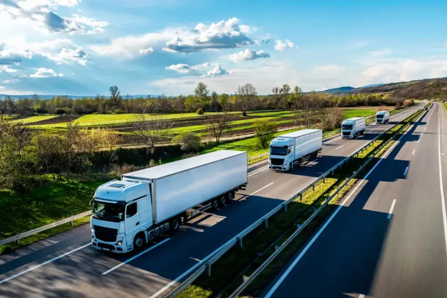 How To Plan A Stress-free Long Distance Relocation in San Antonio, TX